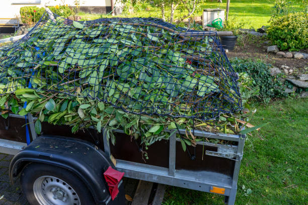 Same-Day Junk Removal Services in Hector, MN